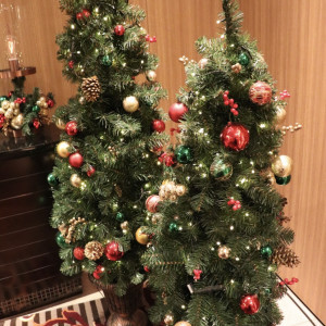 至る所にクリスマスツリー|607396さんのシェラトン・グランデ・トーキョーベイ・ホテルの写真(1666619)