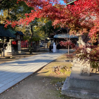 紅葉真っ只中の那古野神社