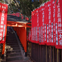 挙式会場の神社の様子