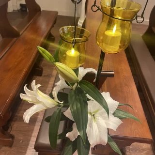 お花