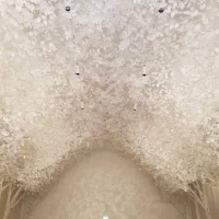 チャペル天井