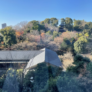 広大な庭園で四季折々の風景が楽しめるところも素敵です。