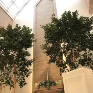 気の温もりと日光が差し込み明るい会場です