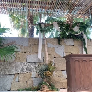 チャペル