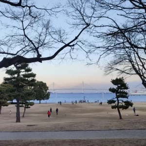 ガーデン挙式はこちらになります。
冬なので寂しいですが|609175さんのみなとみらい sea＆terrace ～DANZERO～の写真(1415142)