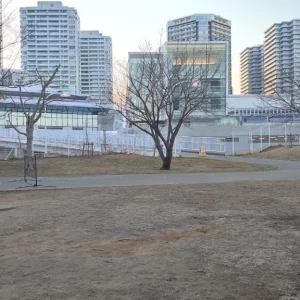 冬なので寂しいですが暖かくなると緑な素敵です|609175さんのみなとみらい sea＆terrace ～DANZERO～の写真(1415145)