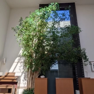 室内でも自然を感じられて良かったです