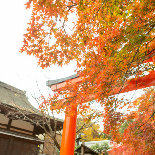 紅葉がとても綺麗でした