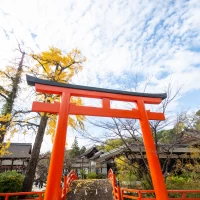 みたらし池横の鳥居