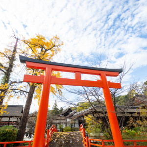 みたらし池横の鳥居|609857さんの下鴨神社の写真(1678627)