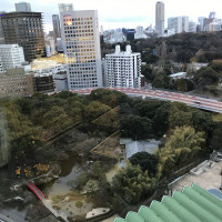 16階眺める日本庭園