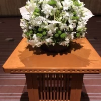 5月は白グリーンの爽やかな装花でした。