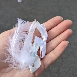 フェザーシャワー
