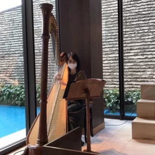 ハープ生演奏