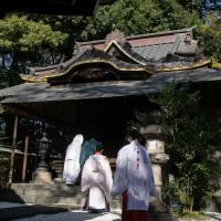 裏の神社へお参り