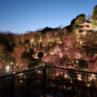 夜も幻想的で素敵でした。