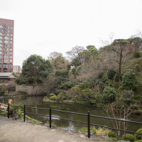 庭園に出れば、季節の風景を楽しめます。