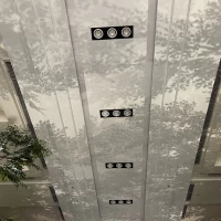 チャペルの天井