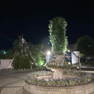 夜の様子