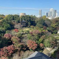 紅葉こんな感じでした。