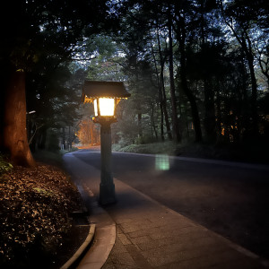 朝一でしたので、幻想的な参道が見られました|611495さんのFOREST TERRACE 明治神宮・桃林荘の写真(1669183)