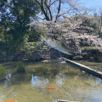 庭の池