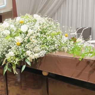 綺麗な花