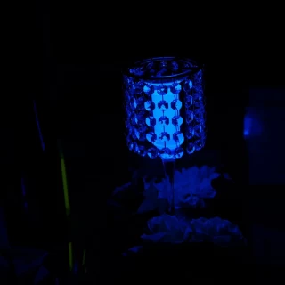 器に水を注ぐと中の水の色が変わる卓上演出を行いました。