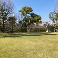 広い芝生です