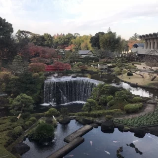 お庭の景色。
