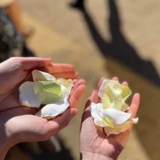 チャペル名前の広場でフラワーシャワー