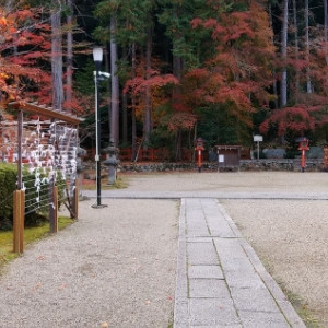 庭|612183さんの大原野神社の写真(1687271)