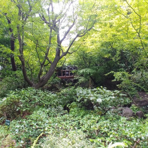 中自然の森|612183さんのウェスティンホテル大阪の写真(1530165)
