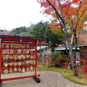 庭|612183さんの大原野神社の写真(1687274)