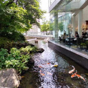 お庭の池|612183さんのウェスティンホテル大阪の写真(1530185)