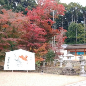 庭|612183さんの大原野神社の写真(1687273)