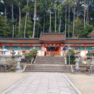 本殿|612183さんの大原野神社の写真(1687284)