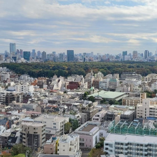 会場からの景色