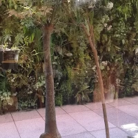 ガラス越し