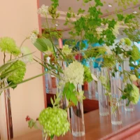 季節の花
