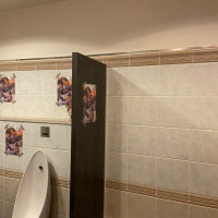 トイレ　好きなように装飾ができたためポスターを貼りました
