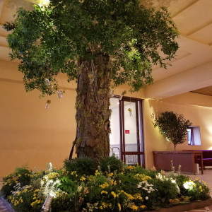 玄関入ってすぐに大きなシンボルツリー
生花が沢山です|612791さんの軽井沢高原教会の写真(1449411)