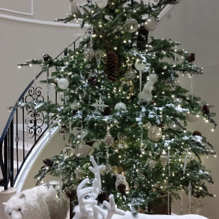 クリスマス時期にうかがったときの素敵なツリーです！