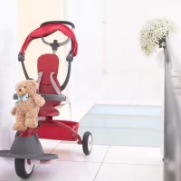 リングガールのための乗り物持ち込み可能です。