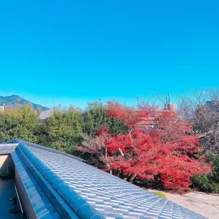 天気の良い日は、ロケーションも最高です！
