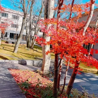 季節ごとに変わる景色が楽しめるお庭です。