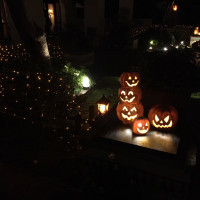 ガーデンライトアップはハロウィン仕様でした