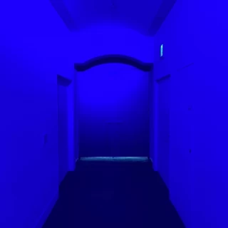 チャペルまでの扉
ウェディングドレスの白が映える青いライト