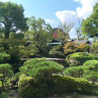 和風庭園が素敵です。