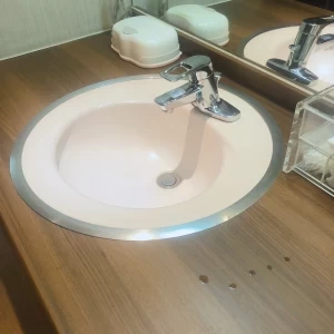 女子トイレの洗面所です。綿棒もありました。|614538さんのTHE VILLA HAMANAKO（ザヴィラハマナコ）の写真(1464013)
